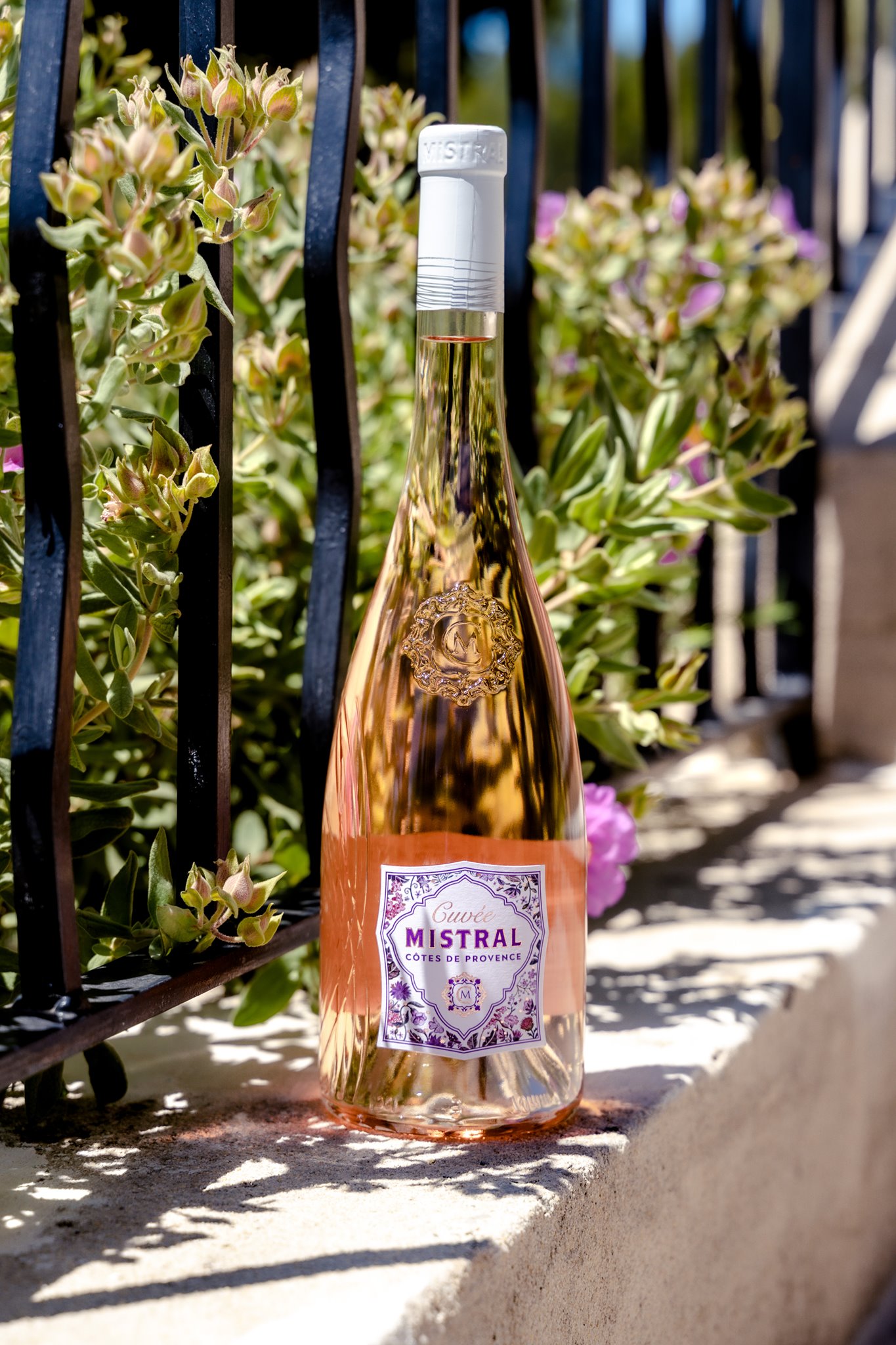 Côtes De Provence Rosé Cuvée Mistral 2020 13 Fransk RosÉvin Vin Med Mere Dk 