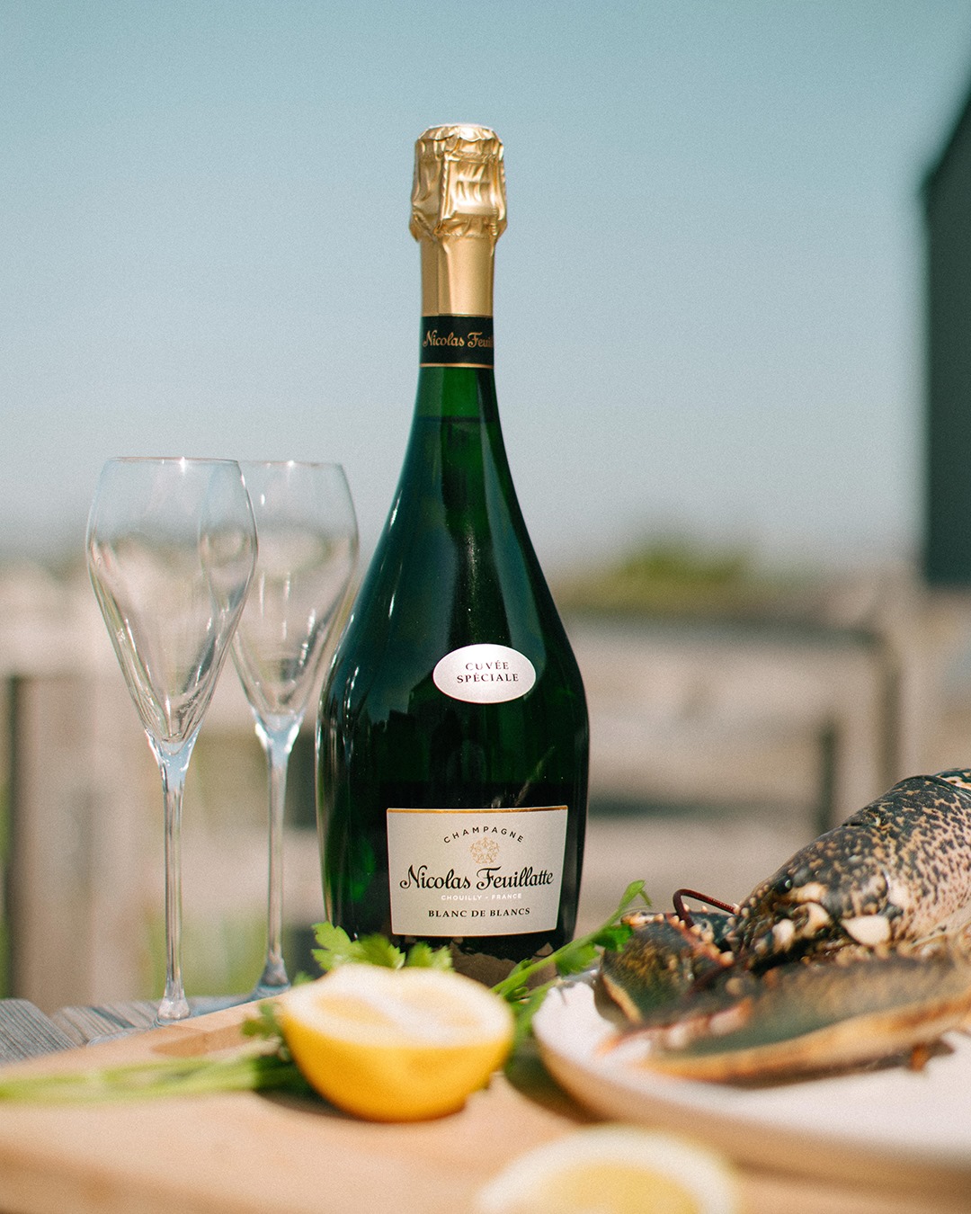 Champagne CHAMPAGNE Blanc Spéciale - 12% VIN MERE MED cl. - - Feuillatte NICOLAS Nicolas FEUILLATTE 75 Blancs Cuvée de