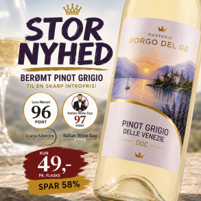 Borgo del Re Pinot Grigio Delle Venezie 2025 12%