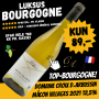 Domaine Croix D�Arbussin M�con Villages 2021 12,5%