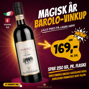 Enkeltmarks Barolo Castellero DOCG Borgogno Francesco 2021 14,5%
