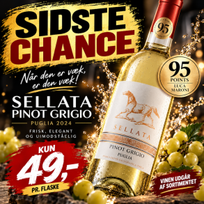 Sellata Puglia Pinot Grigio 2024 75 cl. 12%