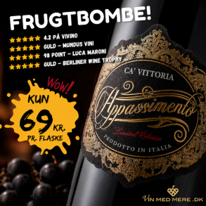 Ca�Vittoria Appassimento Limited Edition 2025 75 cl. 14,5%