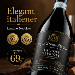 Langhe Nebbiolo Borgo della Regina 2024 13%