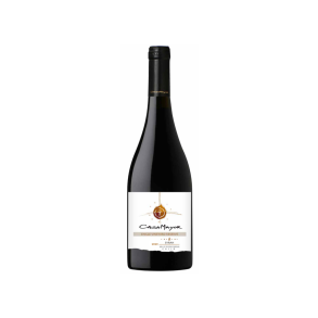 Casa Mayor Syrah Single Vineyard Reserve 2020/21 75 cl. 14%