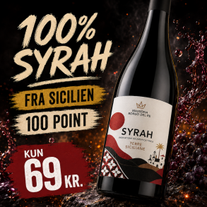 100 point - Borgo del Re Syrah Terre Siciliane 2024 14%