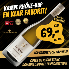 Domaine l´Odylee La Prometteuse Cotes du Rhone Blanc 2024 12,5%