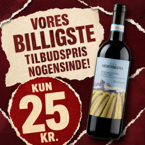 Vita Mediterranea Montepulciano D�Abruzzo 2024 75 cl. 12,5%