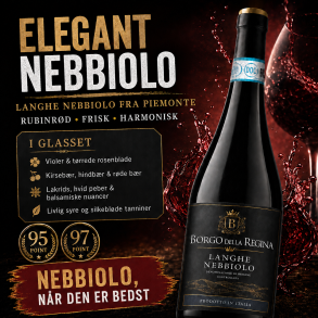 Langhe Nebbiolo Borgo della Regina 2024 13%