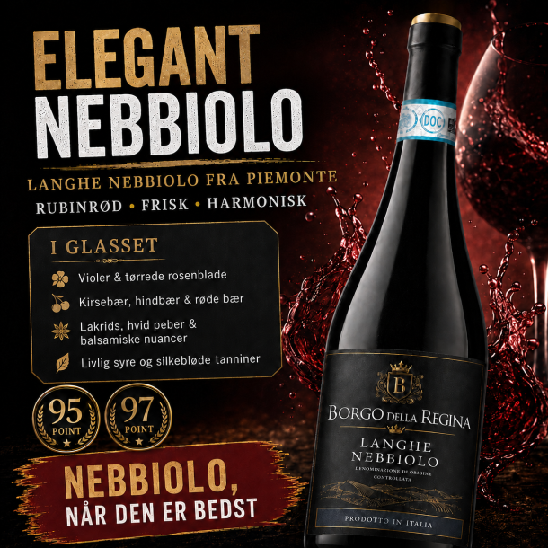 Langhe Nebbiolo Borgo della Regina 2024 13%