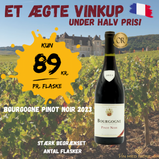 Bourgogne Pinot Noir 2023 75 cl.