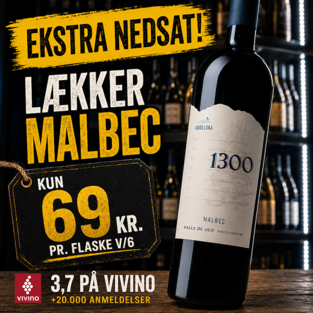 Andeluna 1300 Malbec 2025 13%