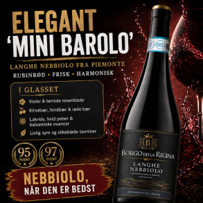 �Mini Barolo� � Langhe Nebbiolo Borgo della Regina 2024 13%