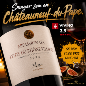Patrick Lesec Cotes du Rhone Village Appassionata 2022 16%