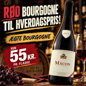 Bourgogne Macon Gamay 2023 75 cl. 12,5%
