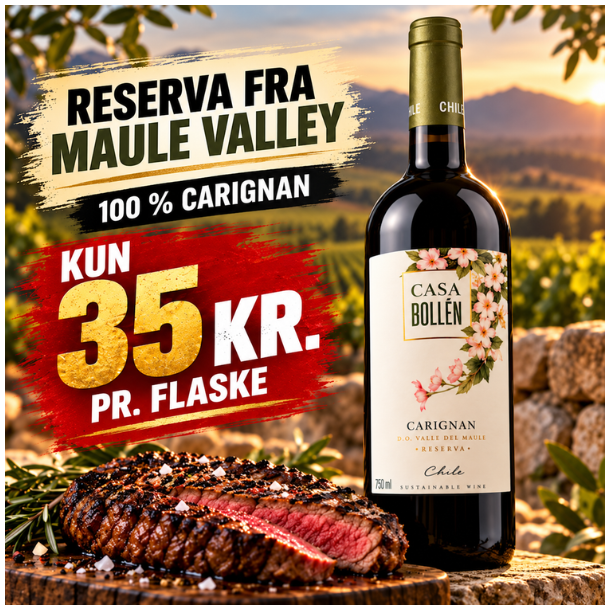 Casa Bollen Reserva Carignan Valle del Maule 2022 14%
