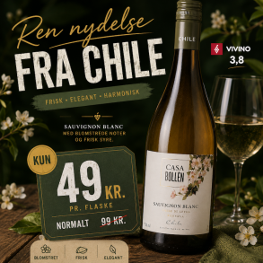 Casa Bollen Sauvignon Blanc Reserva Valle de Layda 2024 12,5%
