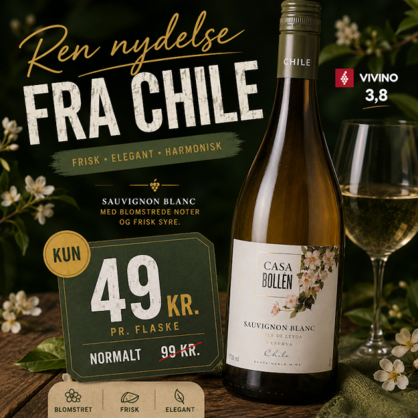 Casa Bollen Sauvignon Blanc Reserva Valle de Layda 2024 12,5%