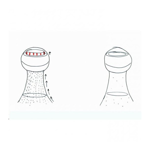  L'Atelier du Vin - Champagneprop - Bobleindikator