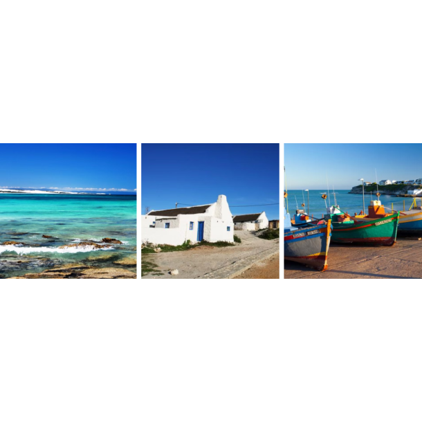 Arniston Bay Sauvignon 2024 Blanc 75 cl. 13%