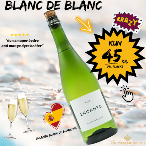 Encanto Blanc de Blanc Brut 75 cl. 11% 