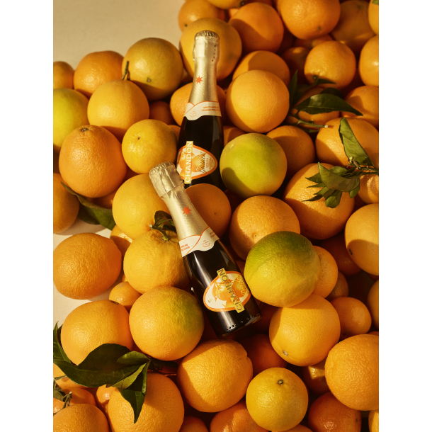 Chandon Garden Spritz 18,7 cl. - 11,5%