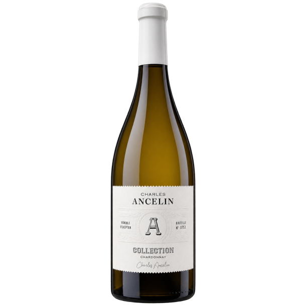 Charles Ancelin Collection Chardonnay 2025 13,5%