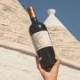 Cignomoro 6 Anime Puglia 2020 - 14,5%