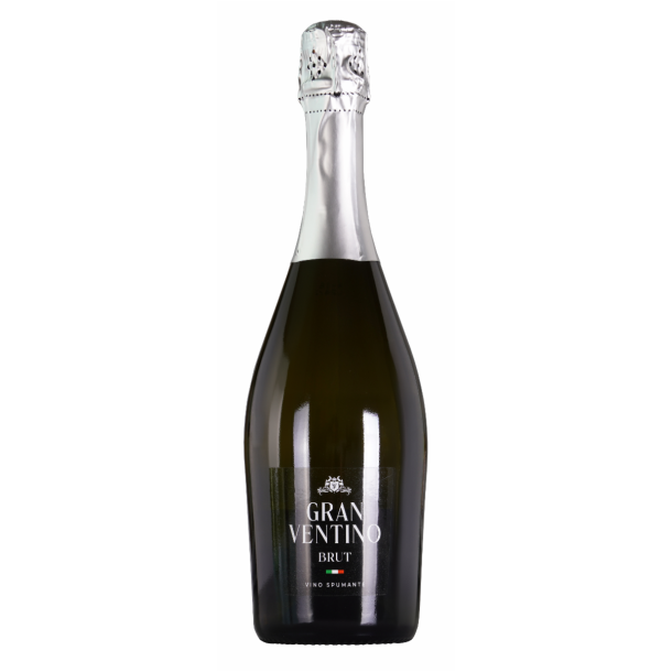 Gran Ventino Brut Spumante 75 cl. 11%