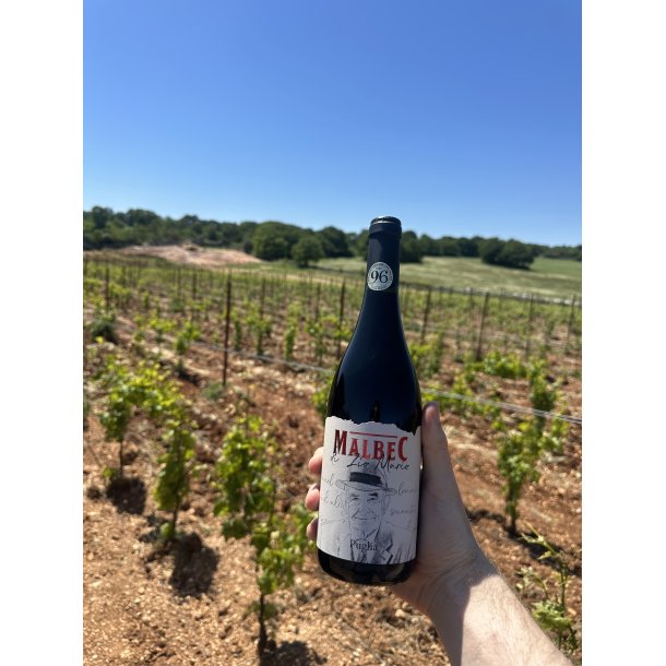 4,3 p� VIVINO Malbec di Zio Mario 2025 14%