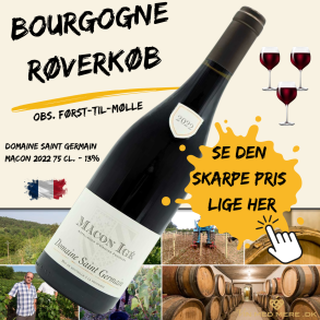 Domaine Saint Germain Macon 2022 75 cl. - 13% 