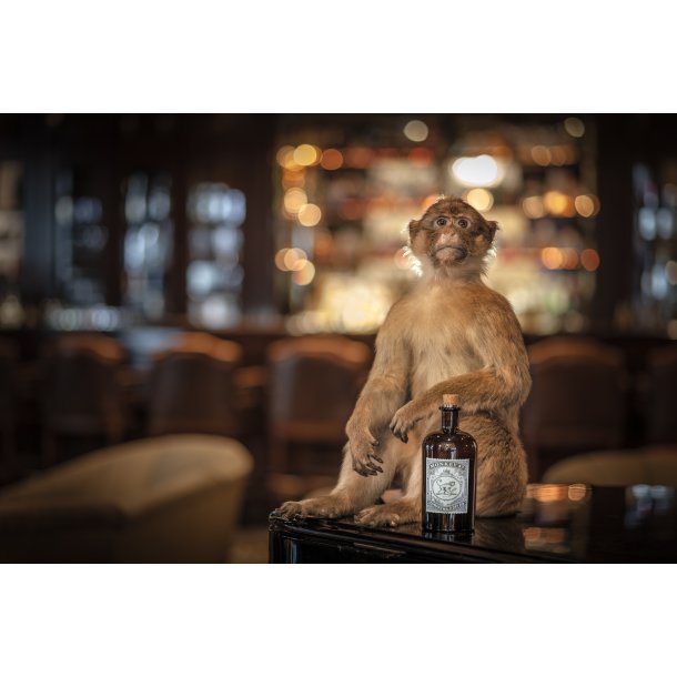 Monkey 47 Schwarzwald Dry Gin 50 cl. - 47%