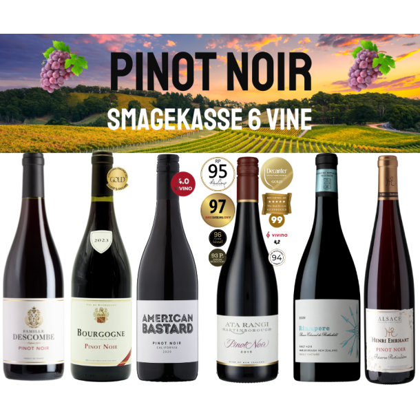 PINOT NOIR SMAGEKASSE 6 FL. - SPAR 735 KR.