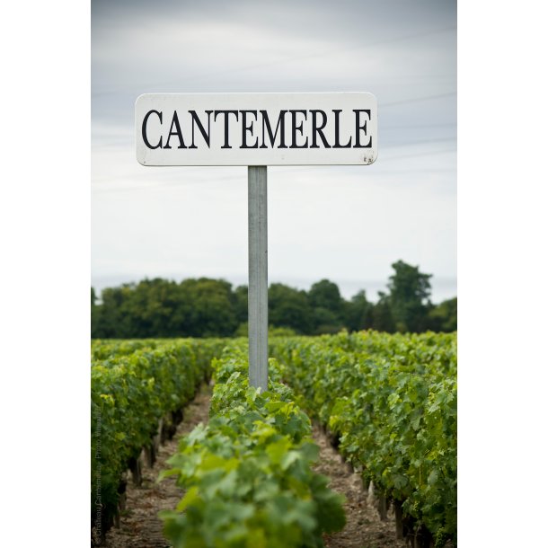 Les Allées De Cantemerle Haut-Médoc Bordeaux 2018 75 cl. - 13% 