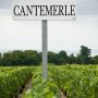 Les Alles De Cantemerle Haut-Mdoc Bordeaux 2018 75 cl. - 13% 