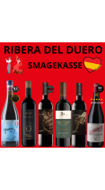 RIBERA DEL DUERO Smagekasse 6 flasker