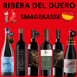RIBERA DEL DUERO Smagekasse 6 flasker