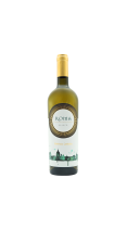 Fontana Candida ROMA Bianco 2023 75 cl. 13%