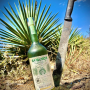 Se Busca Madrecuishe Mezcal 45% 70 cl.