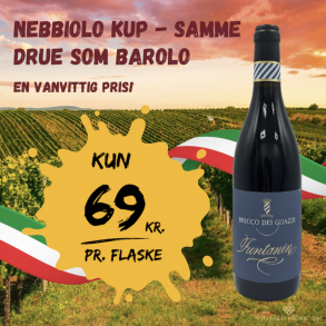 Bricco dei Guazzi Funtanin 2019 14,5%