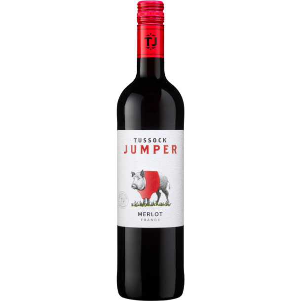 Tussock Jumper Merlot France - 2023