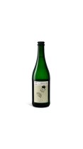 Kunstbryggeriet Far & Søn BoRino FiZZ Gentle-Thai Alkoholfri Økologisk 0,5%