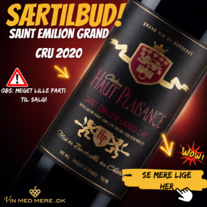 Chateau Haut Plaisance Saint Emilion Grand Cru 2020 75 cl. 14%