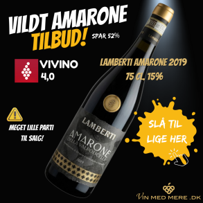 Lamberti Amarone 2019 75 cl. 15%
