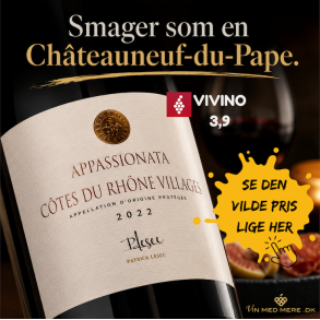 Patrick Lesec Cotes du Rhone Village Appassionata 2022 16%