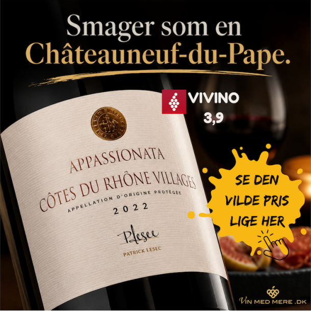 Patrick Lesec Cotes du Rhone Village Appassionata 2022 16%