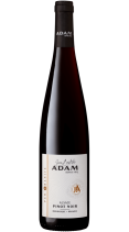 Jean Baptiste ADAM Pinot Noir Alsace 2023 13%