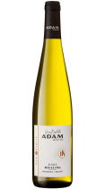 Jean Baptiste ADAM Riesling Alsace 2023 12,5%