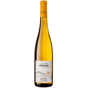 Jean Baptiste ADAM Riesling Letzenberg Alsace 2023 13%