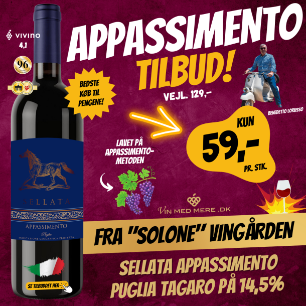 Sellata Appassimento Puglia 2024 14,5%